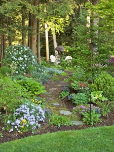garden path with native plants